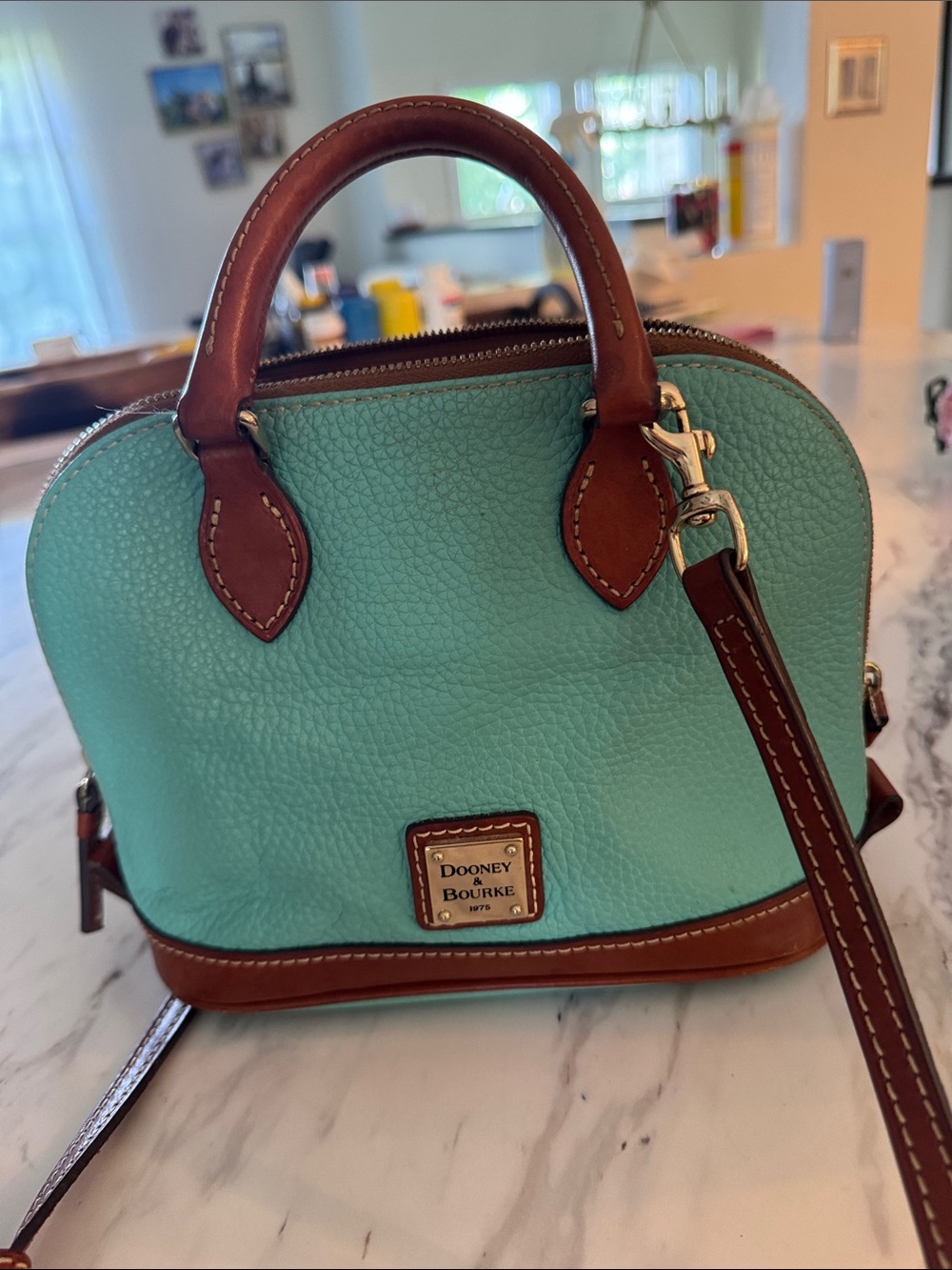 Dooney & Bourke Turquoise and Brown Pebble Leather Mini Satchel